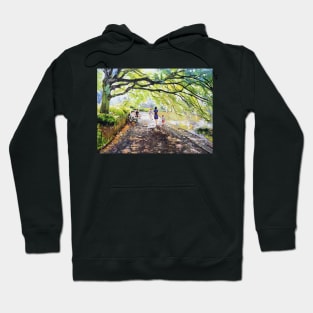 St. Stephen's Green Walk, Dublin Hoodie